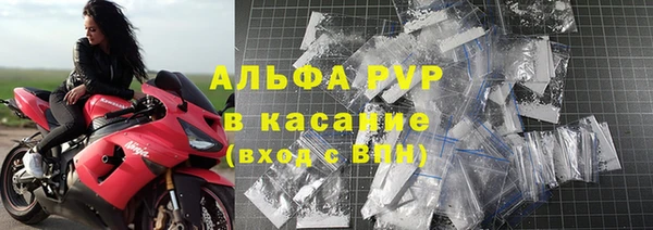 бошки Корсаков