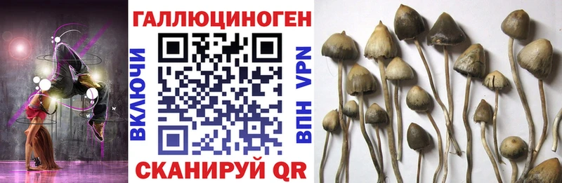 ОМГ ОМГ ТОР  как найти закладки  Урень  Псилоцибиновые грибы мицелий 